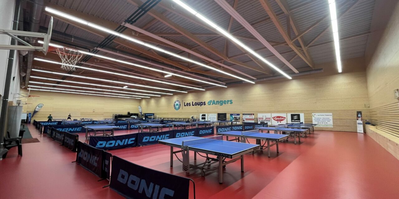 Un week-end tennis de table aux Loups d’Angers !