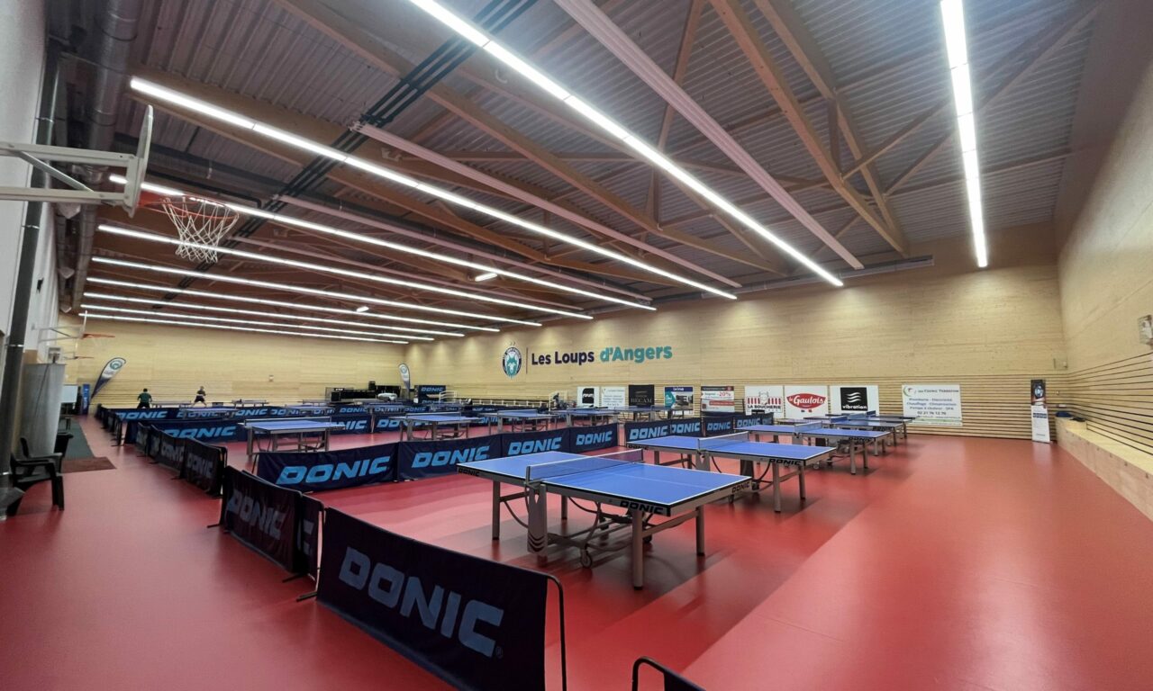 Un week-end tennis de table aux Loups d&rsquo;Angers !