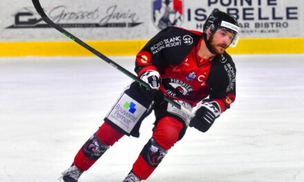 Clément MASSON : l’expérience au service des Dogs de Cholet.