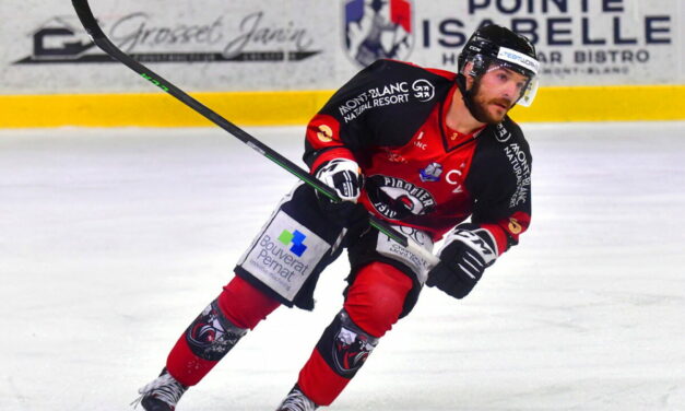 Clément MASSON : l’expérience au service des Dogs de Cholet.