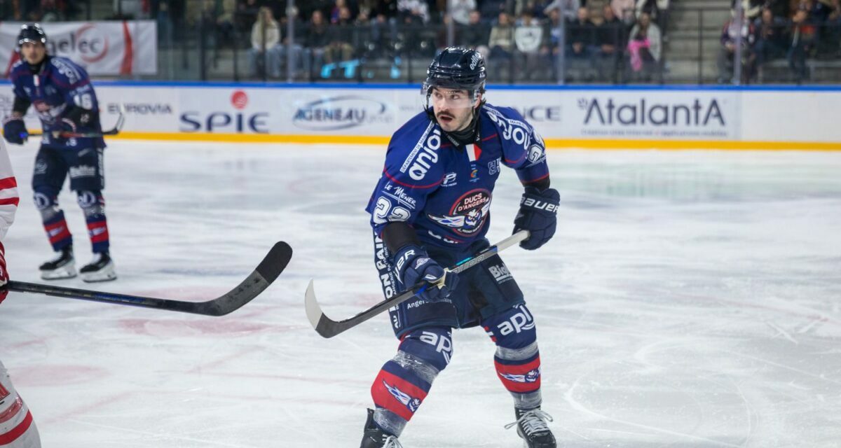 LM (J17) : Angers a fêté sa qualification pour la finale de la Continental Cup en dominant largement Amiens.