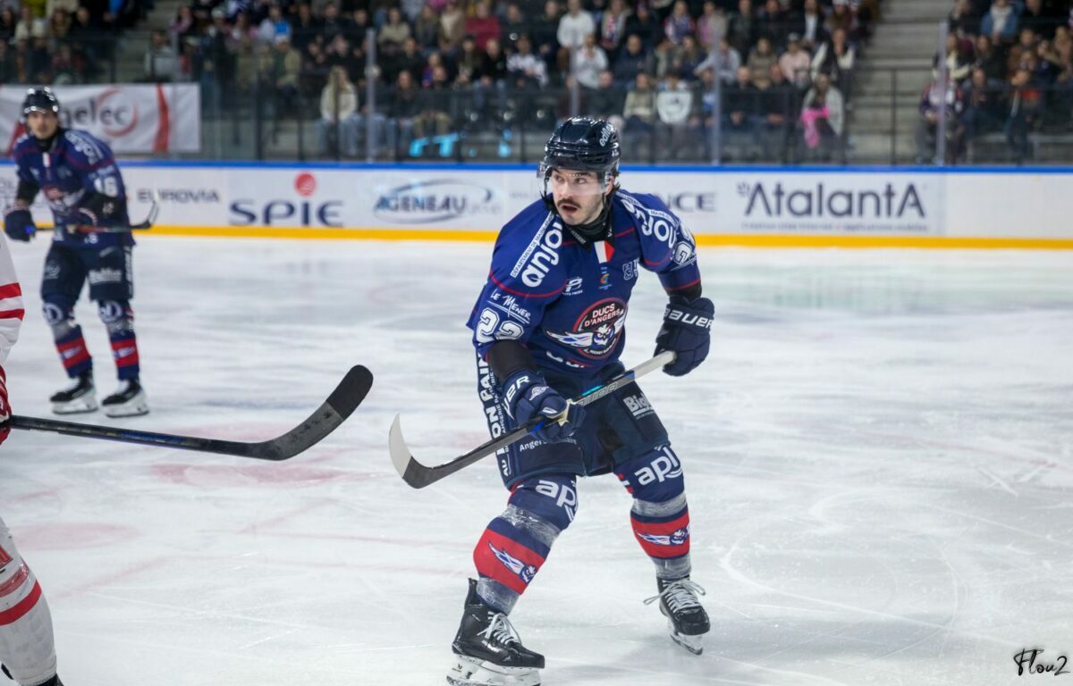 LM (J17) : Angers a fêté sa qualification pour la finale de la Continental Cup en dominant largement Amiens.