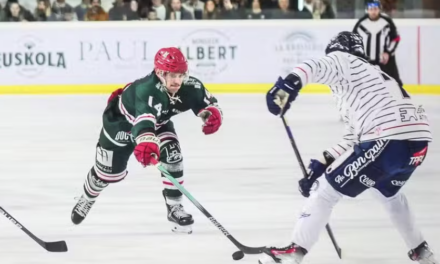 LM (J30) : Angers enchaîne un cinquième succès de rang, par un festival de buts à Anglet.