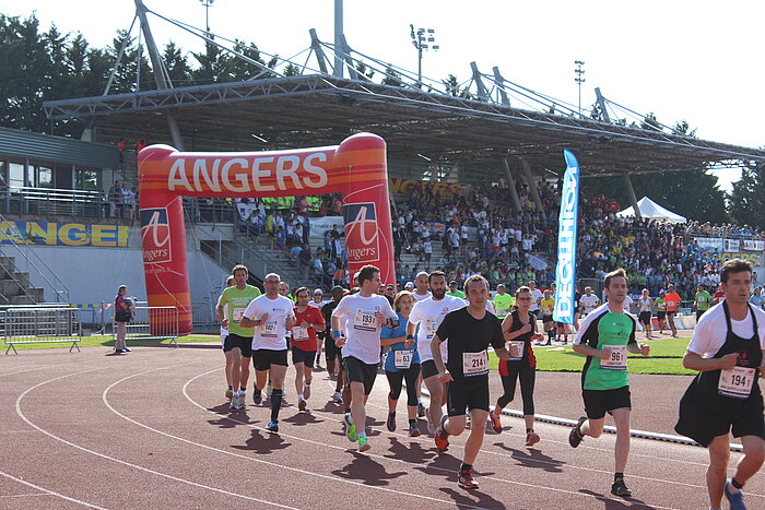 Alain CHARRANCE, moteur du Sport en Entreprises en Maine et Loire et Pays de la Loire