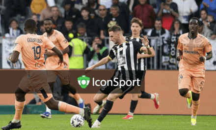 L1 (J30) : Pas de vainqueur dans la course au maintien entre Angers et le Havre !