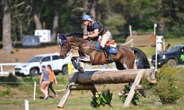 Saumur Complet :  du sport, du soleil et un public au rendez-vous !