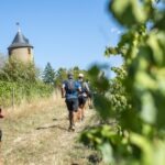 Le Trail des Moulins revient pour la 21ème édition, avec quelques nouvelles spécificités