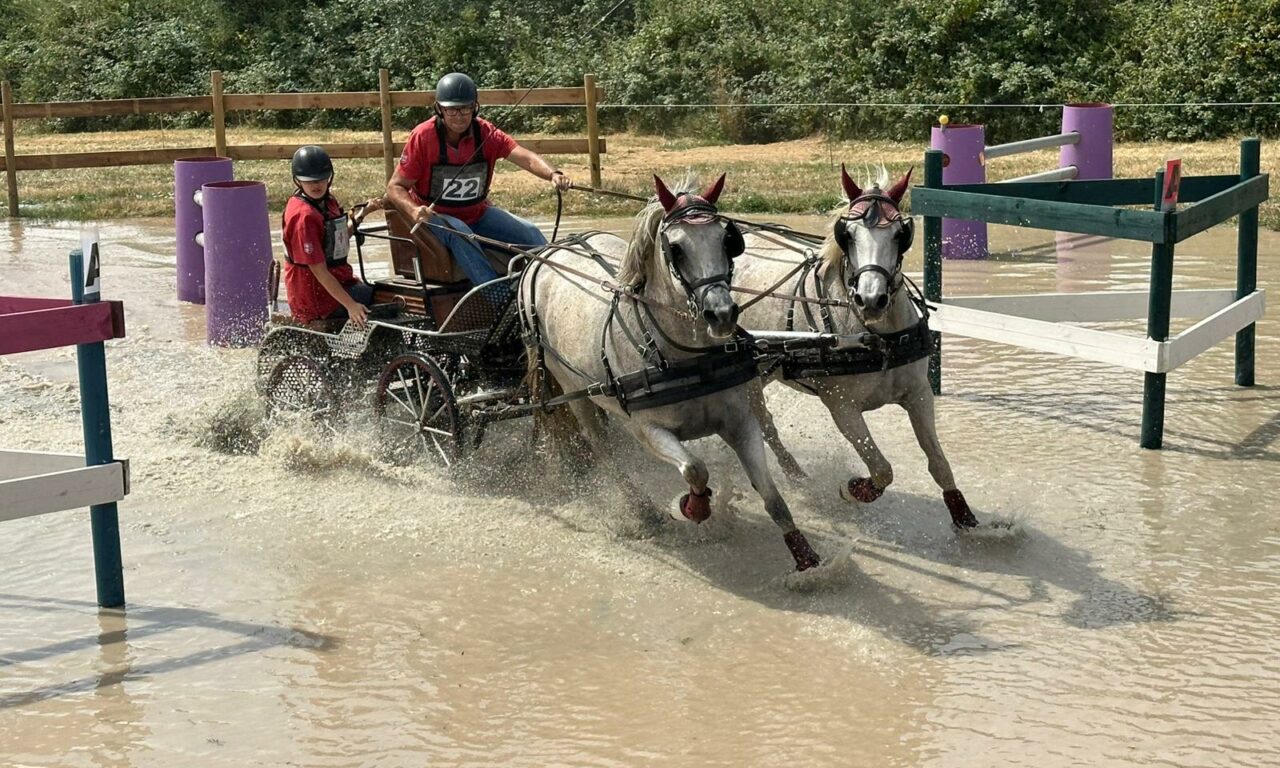 Les Atellages du Grand Soucy accueillent, cette année, le Championnat Régional !