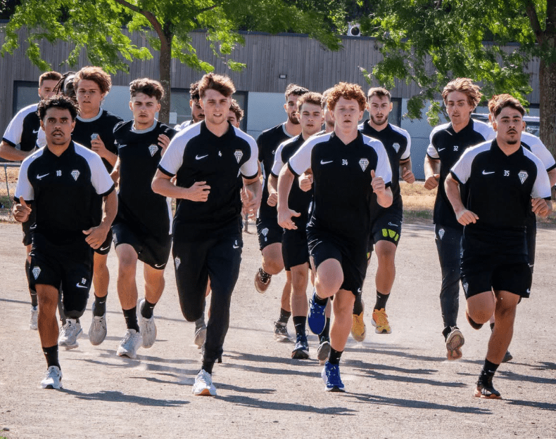 Angers SCO Handball : une préparation ambitieuse pour viser un retour en ProLigue
