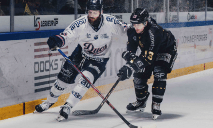 Ligue Magnus : les Ducs d’Angers en déplacement à Chamonix pour rebondir après Rouen