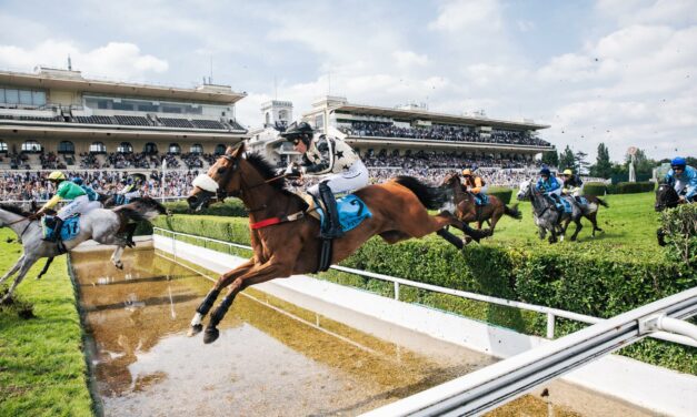 Courses hippiques aux Rairies : le plat et les obstacles à l’honneur pour un dimanche au rythme des chevaux