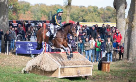 Mondial du Lion 2026 : les futurs champions du concours complet ont rendez-vous en Anjou