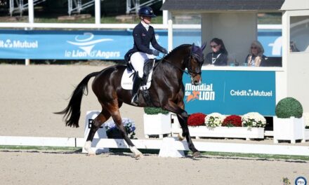 Mondial du Lion : premiers classements et suite du dressage au programme