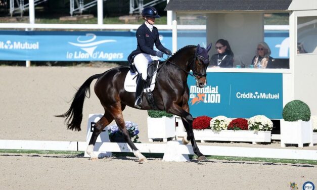 Mondial du Lion : premiers classements et suite du dressage au programme