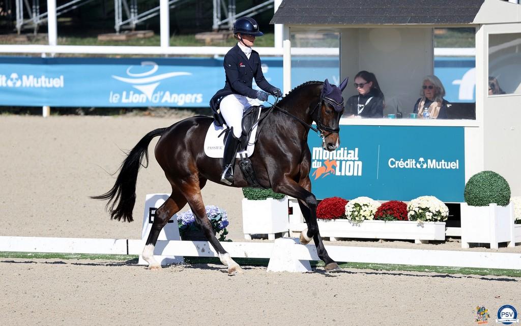 Mondial du Lion : premiers classements et suite du dressage au programme